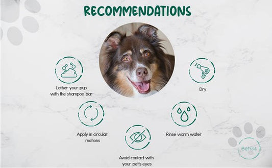 BeNat Pets Artisanal Pet Shampoo Bar Oat 5.8 oz