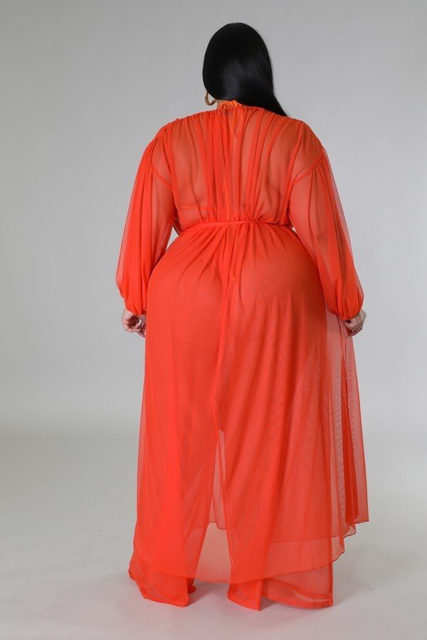 Sheer Cardigan & High Waist Pants Coverup Set