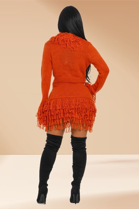 Crochet Fringe V-neck Sweater Top And Skirt Set- Rust
