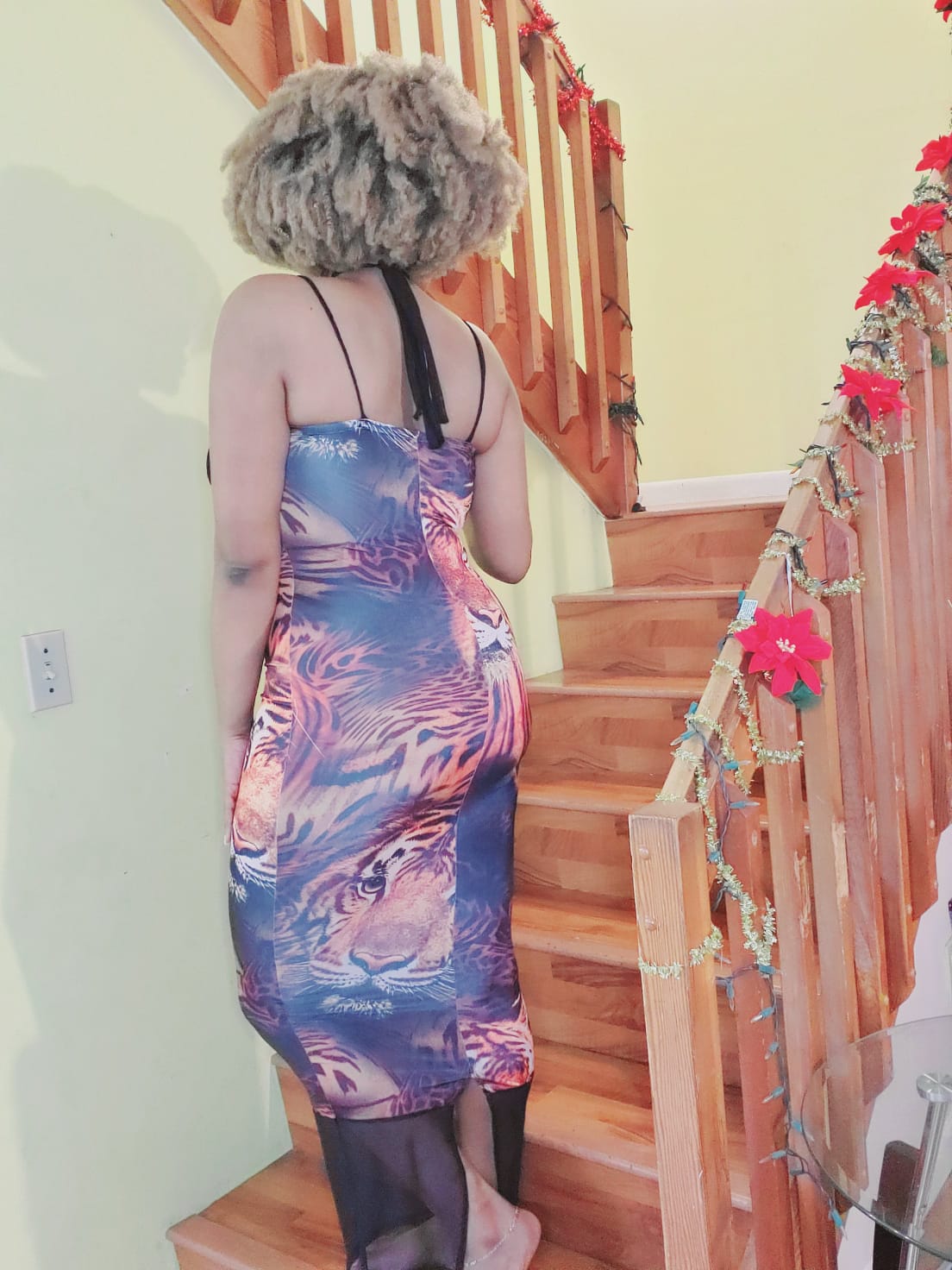 Tiger Print Mesh Halter Dress