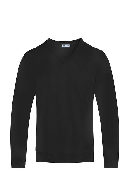 MEN'S SOLID V-NECK SWEATER-6 COLORS
