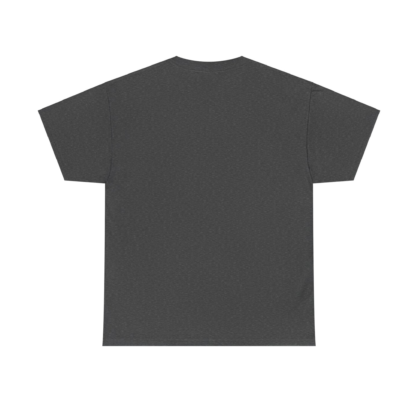 Enigma Unisex Heavy Cotton Tee- 5 Colors