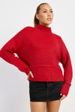 TURTLE NECK BODY SWEATER-2 COLORS