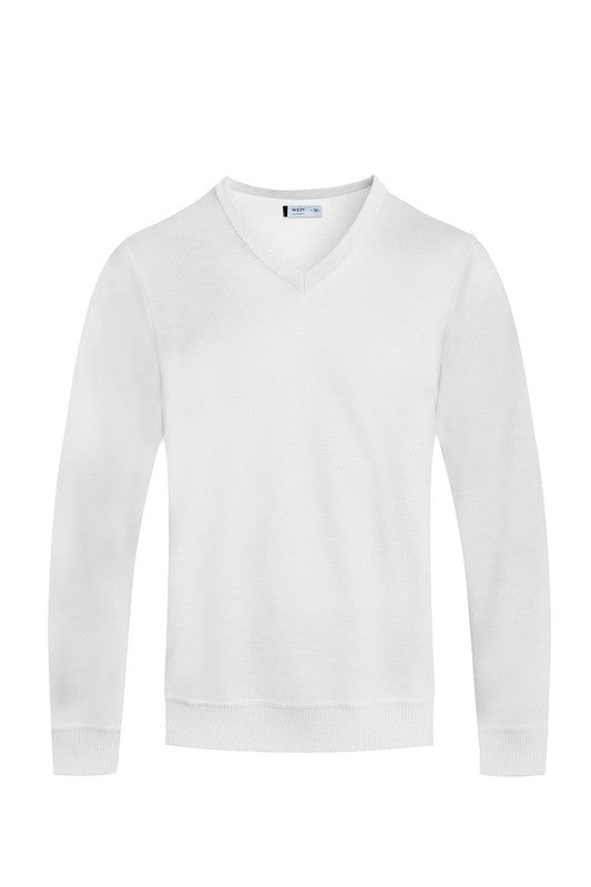 MEN'S SOLID V-NECK SWEATER-6 COLORS