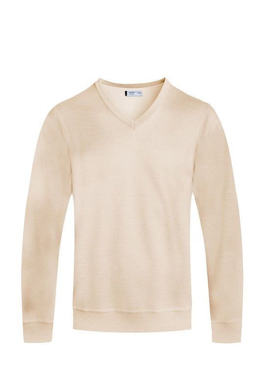 MEN'S SOLID V-NECK SWEATER-6 COLORS
