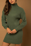 Turtle Neck Balloon Sleeve Sweater Dress-2 Colors