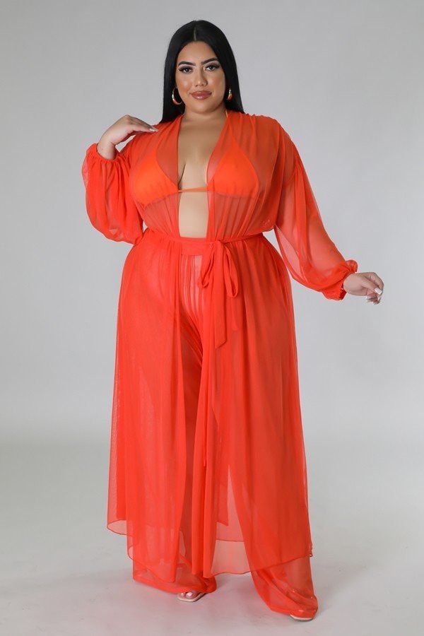 Sheer Cardigan & High Waist Pants Coverup Set