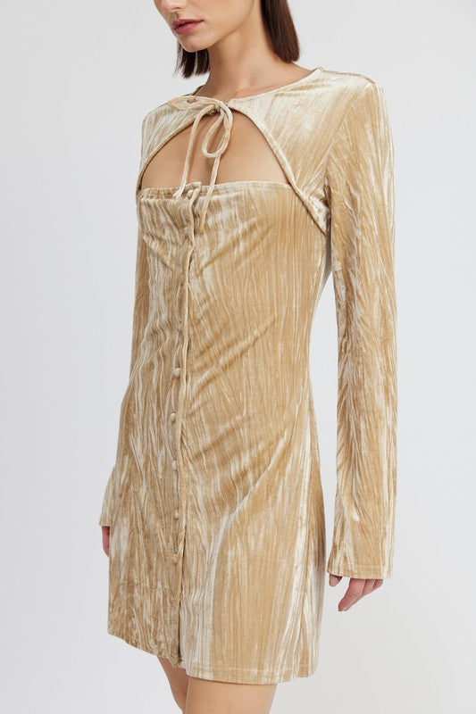 LONG SLEEVE MINI SUEDE DRESS- 2 COLORS