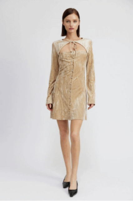 LONG SLEEVE MINI SUEDE DRESS- 2 COLORS