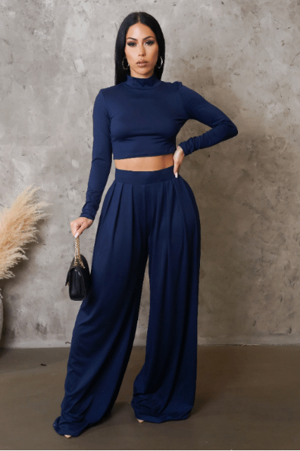 Wide Leg Pleated Pants & Cropped Top Set
