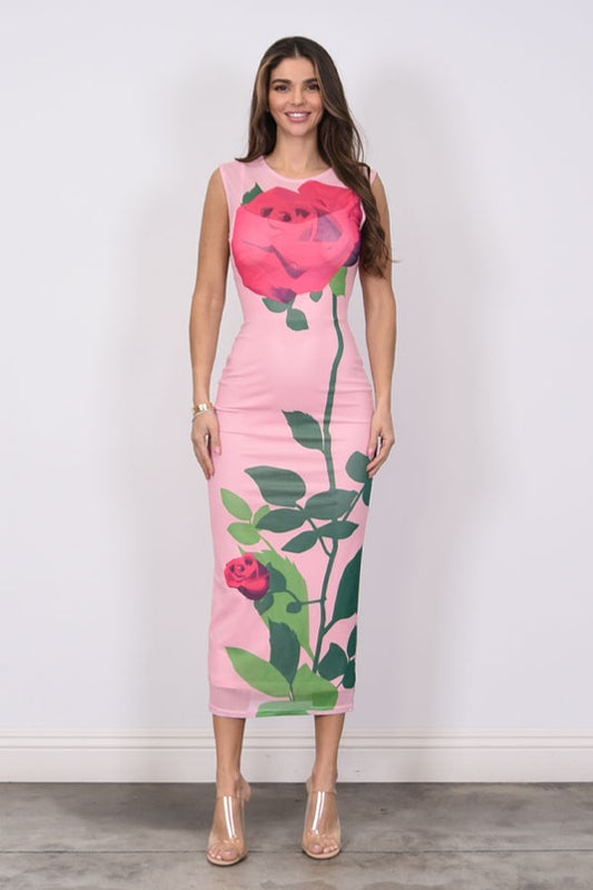 Rose Printed Mesh Long Dress & Inner Slip Dress Set
