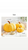 Pumpkin Fall Boucle Pillows, Full Pillow- 6 Colors