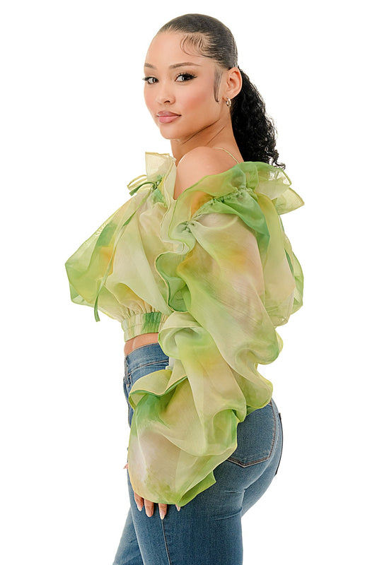Off The Shoulder Long Sleeve Ruffle Sheer Top