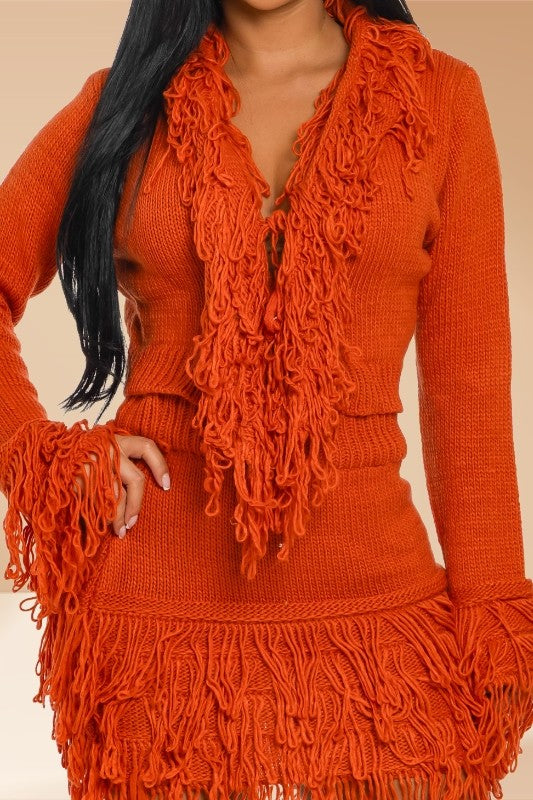 Crochet Fringe V-neck Sweater Top And Skirt Set- Rust