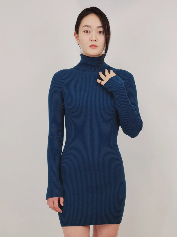 Ribbed Turtleneck Long Sleeve Slim Fit Mini Dress-4 Colors