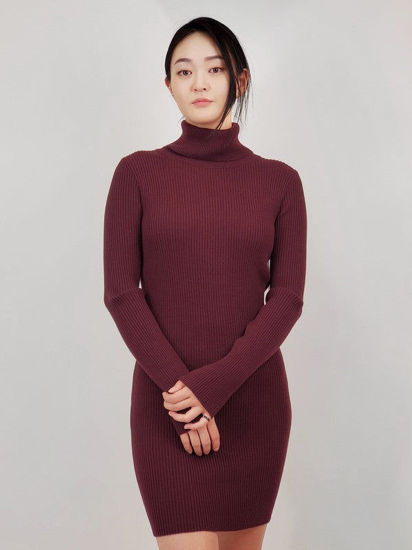 Ribbed Turtleneck Long Sleeve Slim Fit Mini Dress-4 Colors
