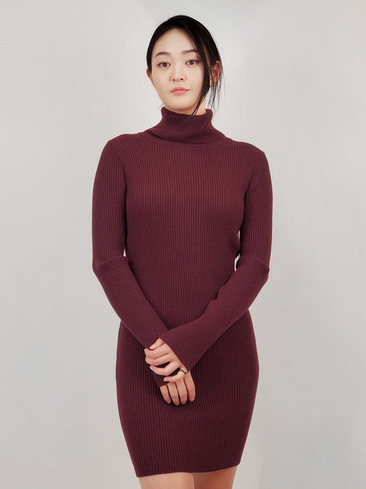 Ribbed Turtleneck Long Sleeve Slim Fit Mini Dress-4 Colors