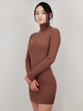Ribbed Turtleneck Long Sleeve Slim Fit Mini Dress-4 Colors