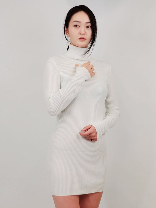 Ribbed Turtleneck Long Sleeve Slim Fit Mini Dress-4 Colors