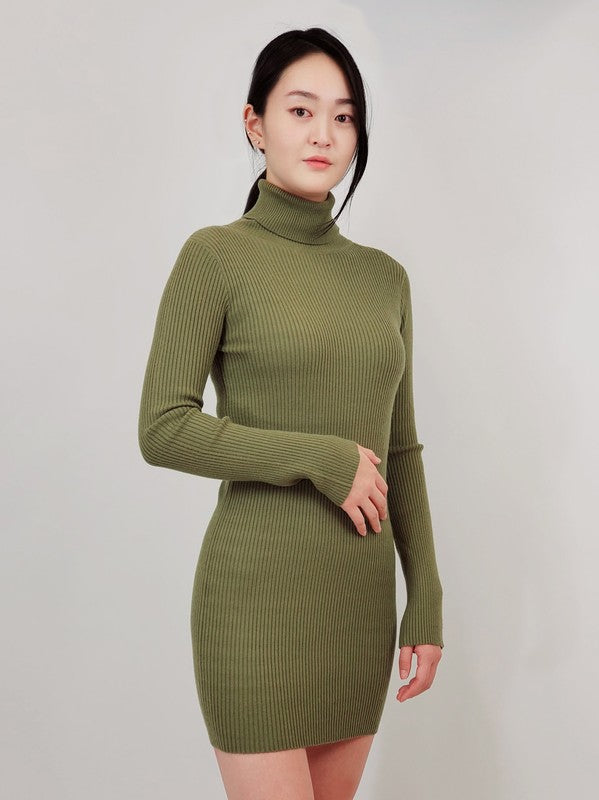 Ribbed Turtleneck Long Sleeve Slim Fit Mini Dress-4 Colors