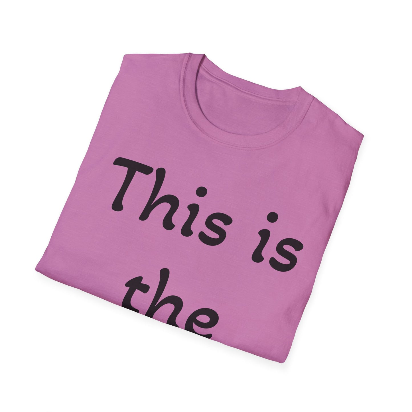 Reverse Display Unisex Softstyle T-Shirt