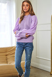 Pearl Embellishments Contrast Sleeves Sweater- 2 Colors