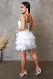 Feather & Lace Mini Dress