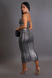 Metallic Acrylic Skirt Set