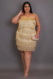 Plus Size Tassel Dress