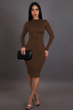 Solid & Simple Long Sleeve Mini Dress