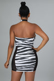 Wild Safari Zebra Print Mesh Halter Dress