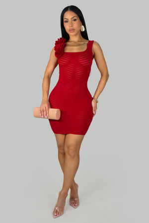 Stacy Lined-Up Mini Dress- Red