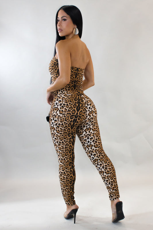 Animal Print Pants Set