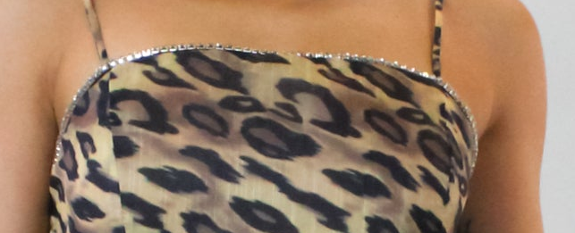 Animal Print Midi Dress