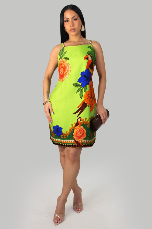Parrots in a Tree Dress- Lime/Multi