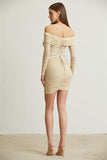 Nude Corset Mesh Dress