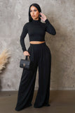 Wide Leg Pleated Pants & Cropped Top Set
