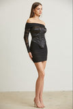 Black Corset Mesh Dress