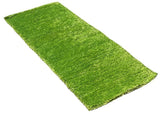 2' x 5'  Feet Reversible Soft Shag Green Area Rug
