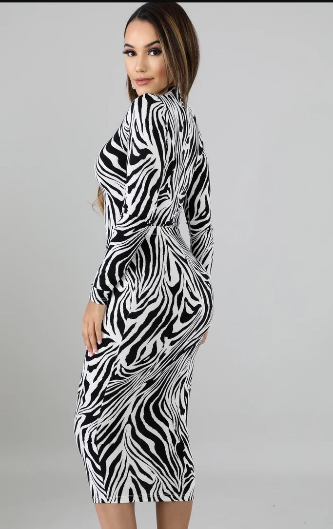 zebra print bodysuit & midi skirt set