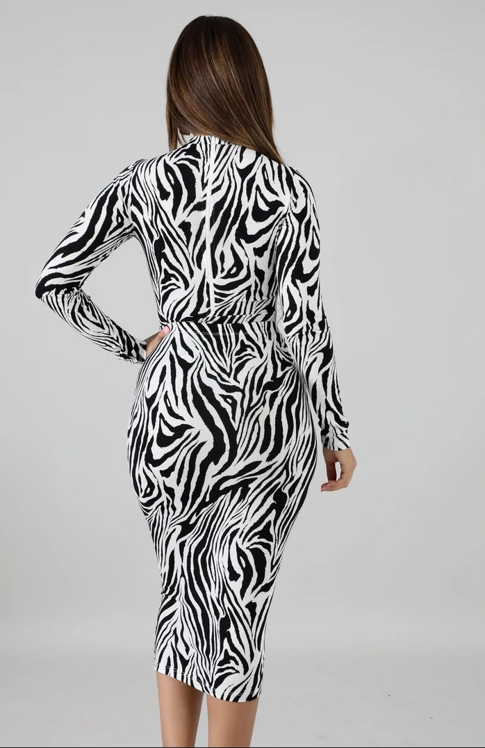 zebra print bodysuit & midi skirt set