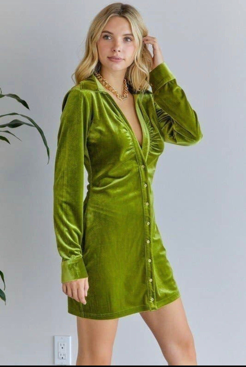 pear buttoned down velvet dress