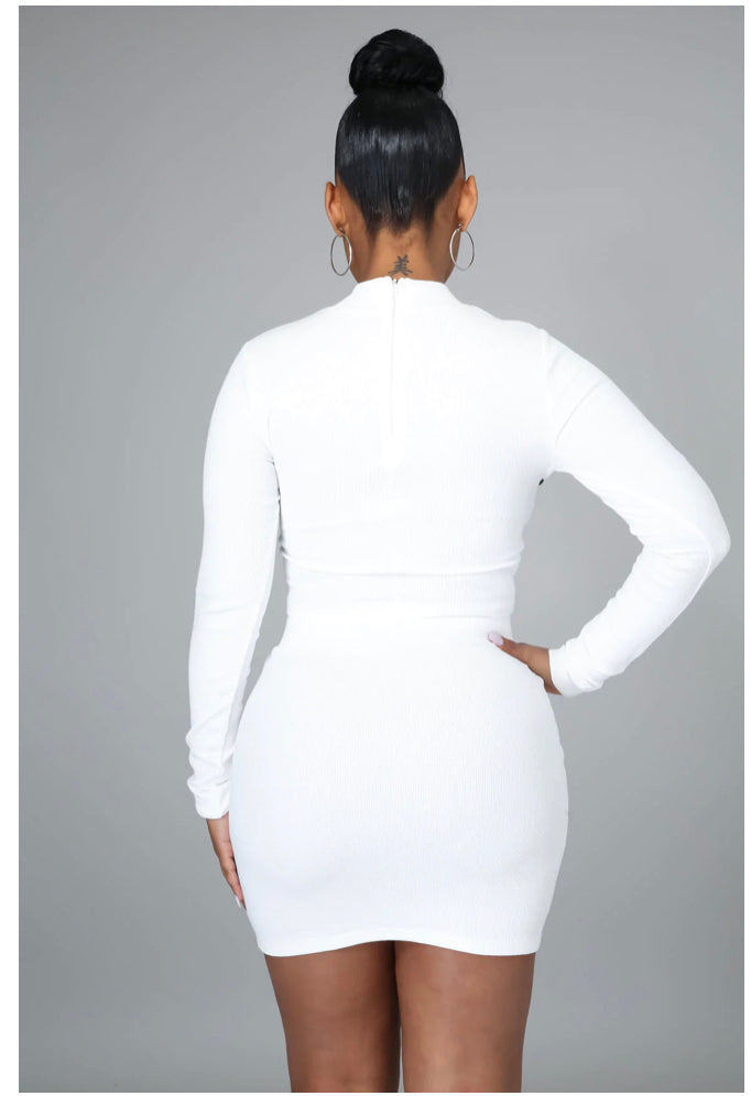 Sexy Part Leather Zippered Mini Skirt Set