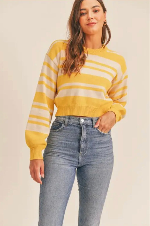yellow crew neck cropped sweater