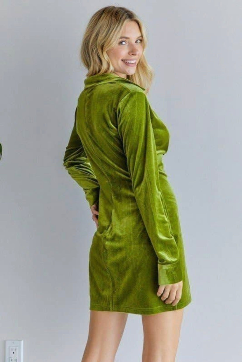 pear buttoned down velvet dress