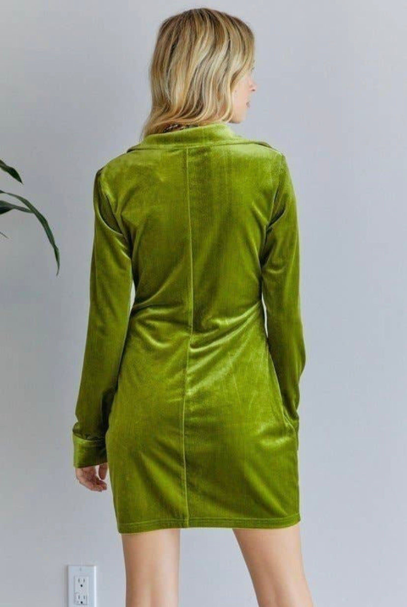 pear buttoned down velvet dress